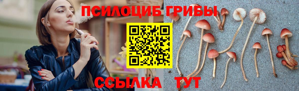 Псилоцибиновые грибы Psilocybine cubensis Златоуст